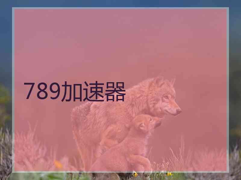 789加速器